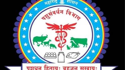 Farmer : पशूसंवर्धन योजनेच्या लाभासाठी अर्ज प्रक्रियेत मराठवाड्यातीलच शेतकरी आघाडीवर