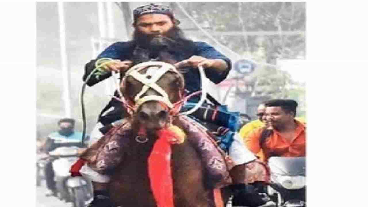 ओ शेठ..तुम्ही मानूस हाय लै ग्रेट!! पेट्रोलचे भाव परवडेनात, घोड्यावरच गाठतो ऑफिस, औरंगाबादचा अवलिया!!