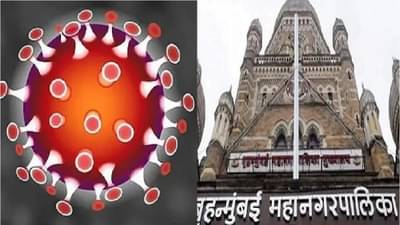 Omicron : ओमिक्रॉनच्या पार्श्वभूमीवर BMC ॲलर्ट, अवघ्या 9 रुपयात अँटिजेन टेस्ट किट, अर्ध्या तासात अहवाल