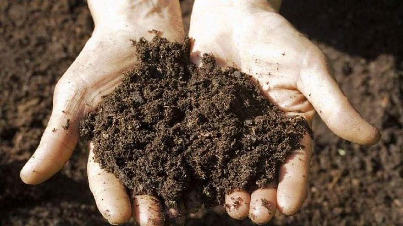 Soil Testing : 5 ग्रॅम माती घ्या अन् दीड मिनिटांमध्ये स्वत:च माती परीक्षण करा ! वाचा सविस्तर