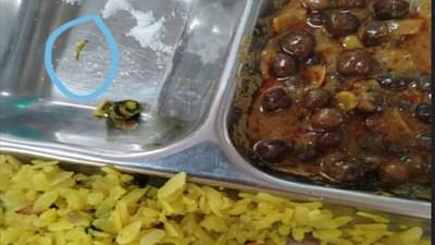 Wardha | धक्कादायक! विद्यार्थ्यांच्या जेवणात सापडल्या अळ्या, वाचा कुठल्या वसतिगृहातील आहे हा प्रकार?