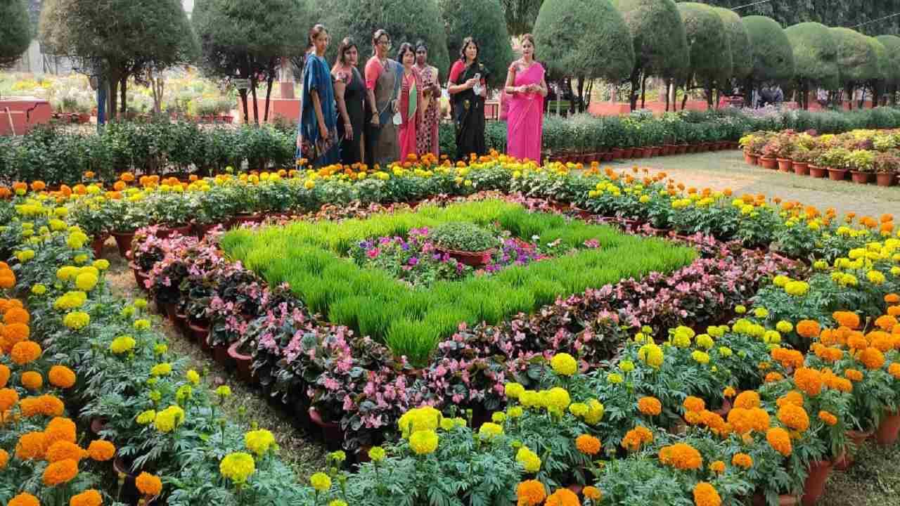 Flowers Exhibition | नागपुरात रंगीबेरंगी फुलांची बाग फुलली!