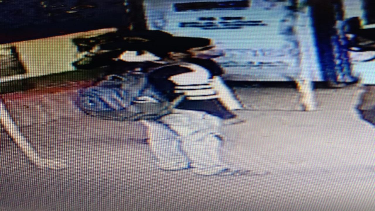 Raigad Crime : माथेरानमध्ये आढळला शिर कापलेला महिलेचा मृतदेह, आरोपीला पकडण्याचे पोलिसांसमोर आव्हान