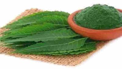 Neem Face Masks: ग्लोइंग स्किनसाठी घरगुती कडुलिंबाचा फेस पॅक