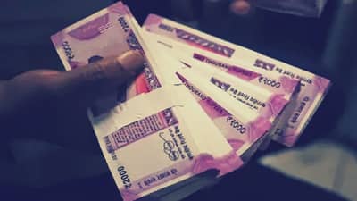 फ्लेक्सी कॅप म्युच्युअल फंड : एफडीपेक्षा दुप्पट रिटर्न्स, गुंतवणुकीचा राजमार्ग एका क्लिकवर