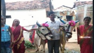 farmer suicide | परिस्थितीशी लढण्यात विजय अखेर पराभूत; का करावी लागली गडचिरोलीतील शेतकऱ्याला आत्महत्या?