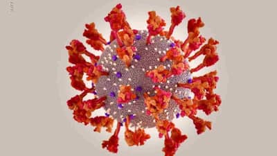 Corona, Omicron Cases Maharashtra LIVE : राज्यात कुठे काय नियम लागू? काय  सुरू? काय बंद? वाचा सविस्तर