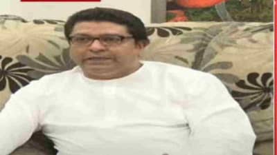 Raj Thackeray: आरक्षण दिलं तर निवडणूक न लढवण्याचं एमआयएमनं जाहीर केलंय, तुम्ही कसं बघता? राज ठाकरेंनी एका वाक्यात विषय संपवला
