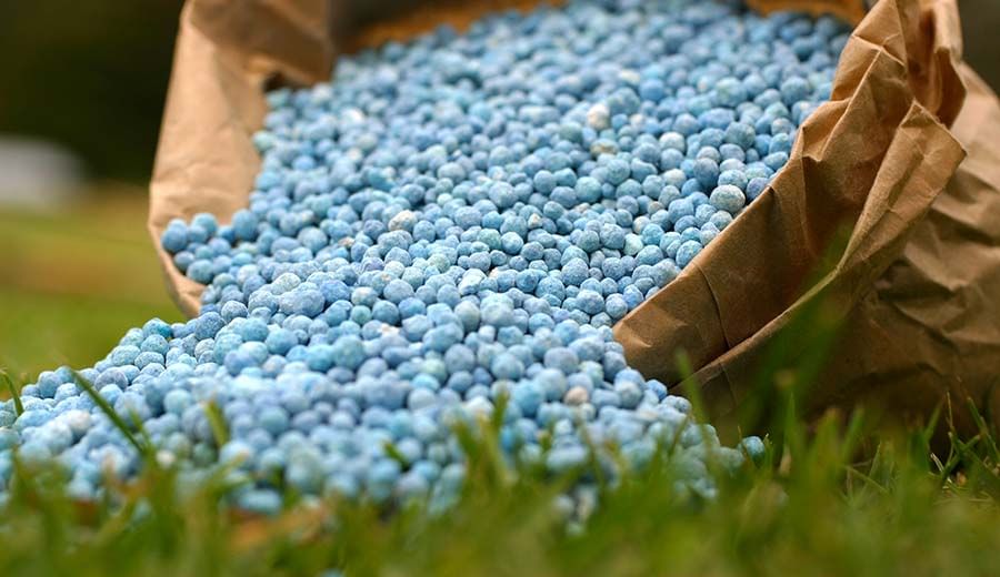 Chemical fertilizer : रब्बी हंगामात दुहेरी संकट, रासायनिक खतांच्या दरात वाढ झाल्याने शेतकरी हतबल