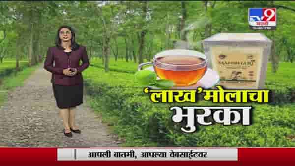 Special Report | आसाममधील ‘लाखमोलाचा चहा’, 99999 रुपयात विकली गेली 1 किलो चहा पावडर