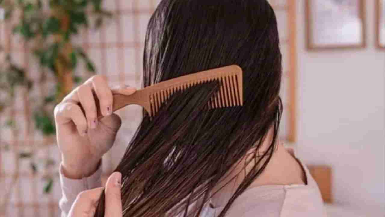 Hair Care Tips : दोन तोंडी केसांची समस्या दूर करायची असेल तर हे घरगुती उपाय नक्की करा!
