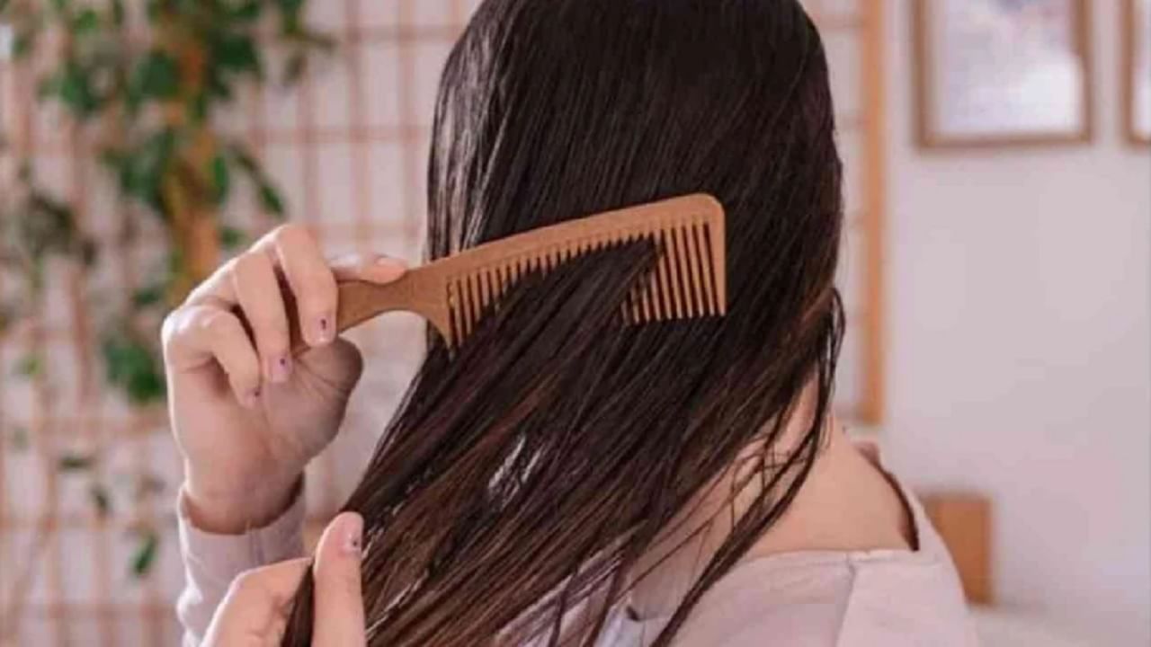 Hair Care Tips : दोन तोंडी केसांची समस्या दूर करायची असेल तर 'हे' घरगुती उपाय नक्की करा!