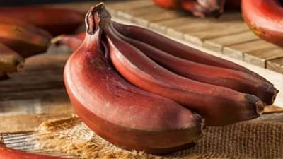 एनर्जी बूस्टर: प्रतिकारशक्ती ते ऊर्जा निर्मिती; जाणून घ्या- लाल केळीचे फायदे