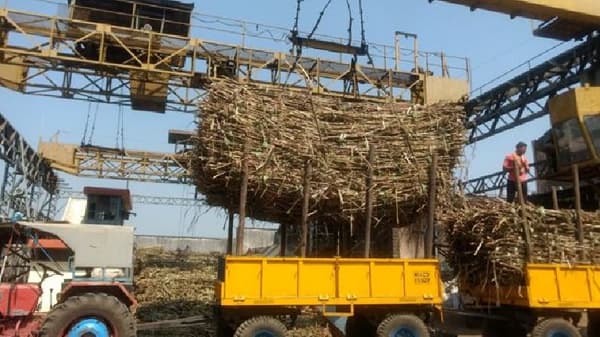 Change in crop pattern : मराठवाड्यातही ऊस गाळपात अन् लागवड क्षेत्रातही होतेय वाढ