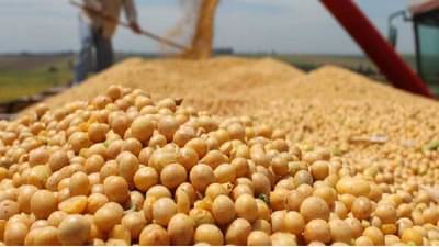 Latur Market: आठ दिवस सोयाबीनचे दर स्थिर राहिले अन् बाजार समितीमधले चित्रच बदलले, नेमके काय झाले?