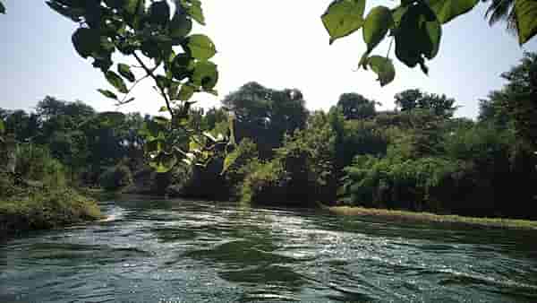 Kukadi River Pollution | कुकडी नदीतील प्रदूषणाचा प्रश्न गंभीर ; जलपर्णी ठरतेय डोकेदुखी