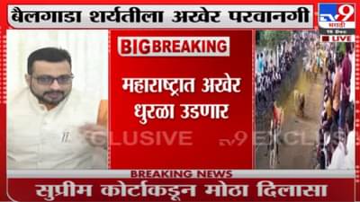 सर्वोच्च न्यायालयाकडून बैलगाडा शर्यतीला राज्यात सशर्त परवानगी