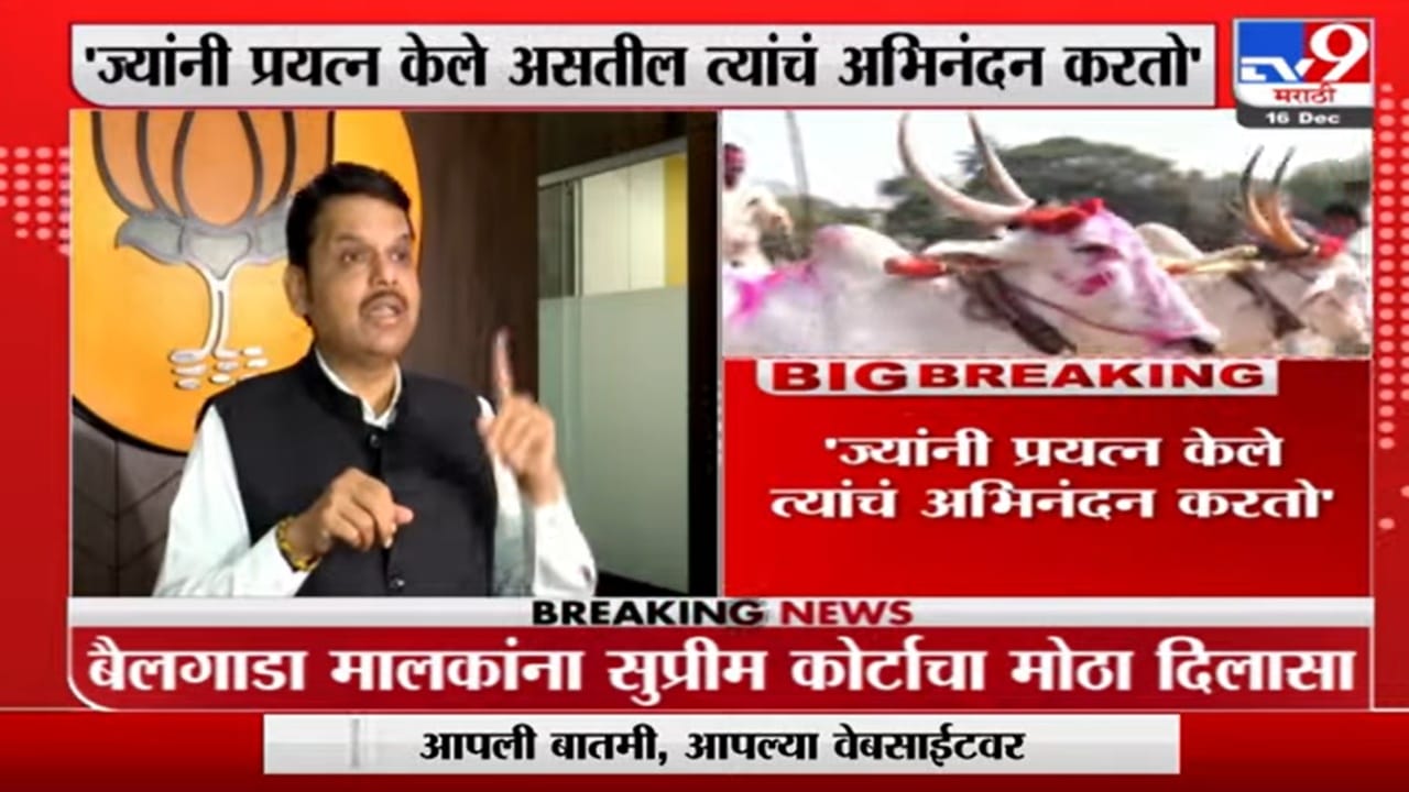 Bullock Cart Race : आम्ही कायदा केला, मात्र सर्वोच्च न्यायालयाने बंदी आणली; फडणवीसांचा दावा Bullock Cart Race : आम्ही कायदा केला, मात्र सर्वोच्च न्यायालयाने बंदी आणली; फडणवीसांचा दावा