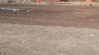 शेतजमिनीत साठलेल्या पाण्याचा काय होतो पिकांवर परिणाम ? पाण्याचा निचरा हाच एकमेव पर्याय