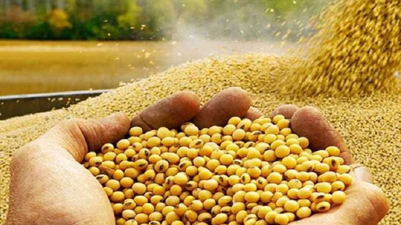 Soybean Rate: खरीप हंगामातील मुख्य पिकाच्या दरात मोठे बदल, काय आहे बाजारपेठेतले चित्र?