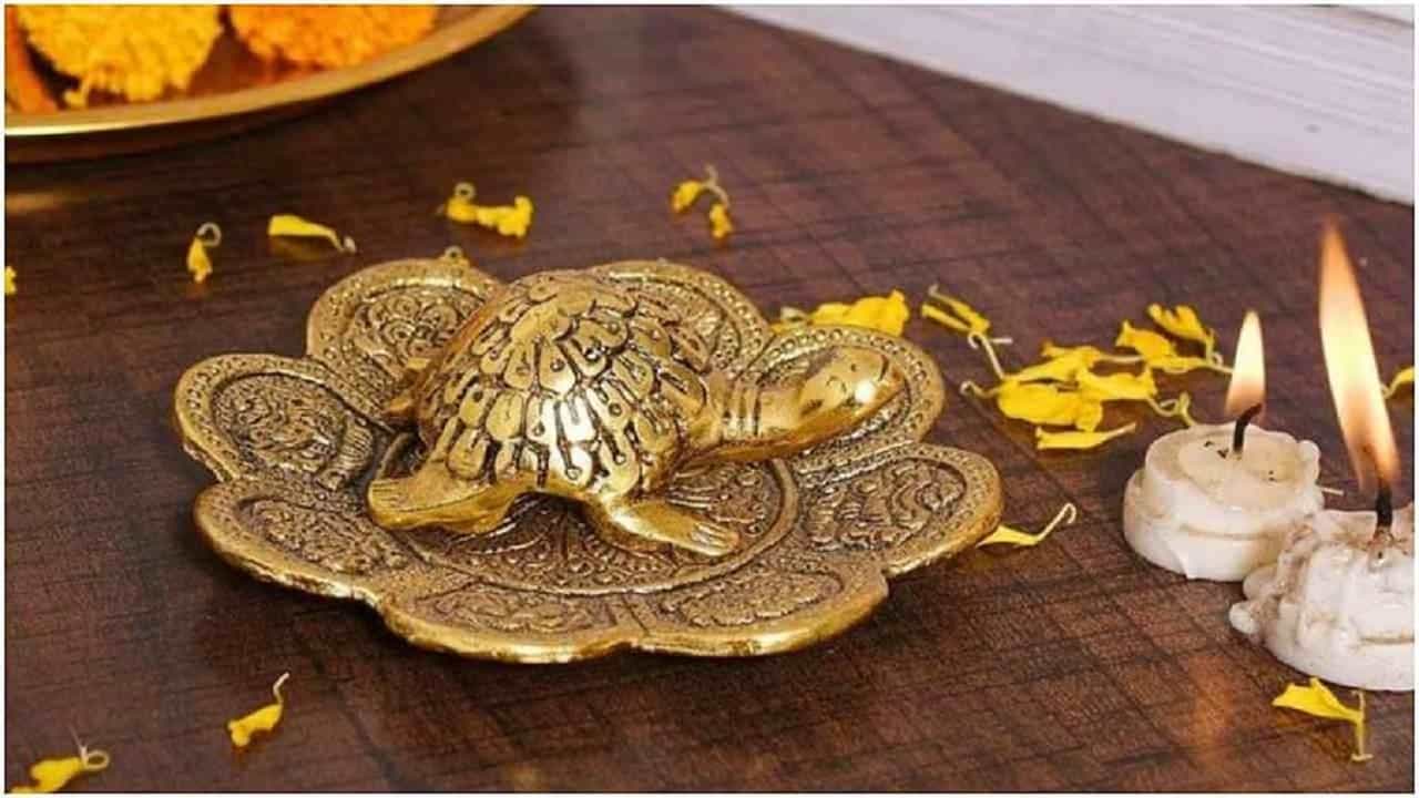 धातूचे कासव - धातूचे कासव उत्तर किंवा उत्तर-पश्चिम दिशेला ठेवावे. जेव्हा ते उत्तर दिशेला ठेवले जाते तेव्हा ते मुलांच्या जीवनात सौभाग्य येते. या दिशेला कासव ठेवल्यास एकाग्रता सुधारते. तर कासवाला उत्तर-पश्चिम दिशेला ठेवल्याने त्यांची बुद्धिमत्तेत वाढ होते.