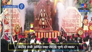 Video : कोल्हापुरातल्या शहरी भागात घुसला गव्यांचा कळप आणि…