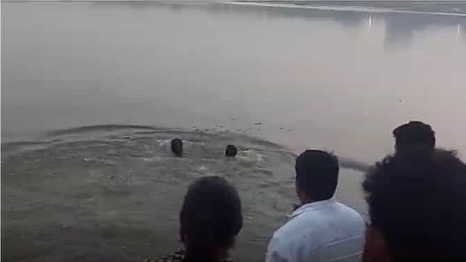 Bhiwandi Murder | मटण कापण्याच्या सुरीने पत्नीची हत्या, पतीची तलावात उडी, दाम्पत्यातील वादाचं कारण काय?
