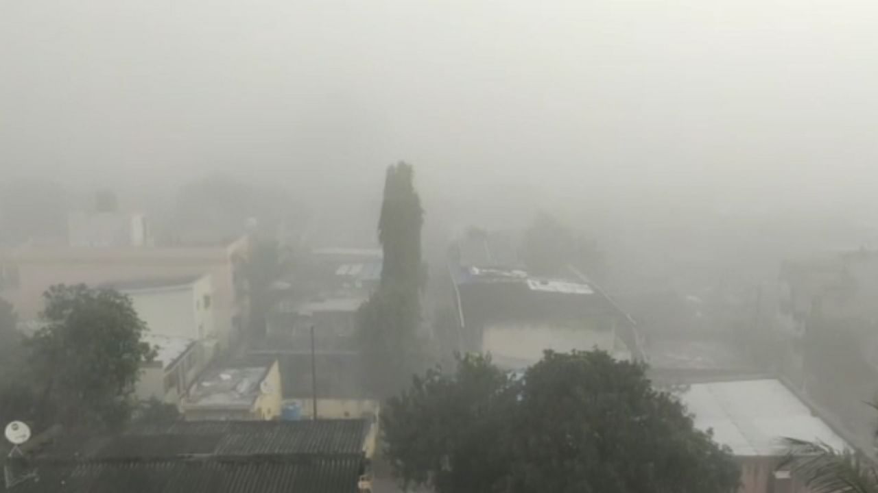 Cold : नववर्षाचा पहिला आठवडा थंडीचा; गारपीट, पावसाची शक्यता नसल्याची हवामान खात्याची खूशखबर Cold : नववर्षाचा पहिला आठवडा थंडीचा; गारपीट, पावसाची शक्यता नसल्याची हवामान खात्याची खूशखबर
