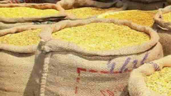 Kharif Season : हंगाम सुरु होताच तुरीची विक्रमी आवक, मोजमापसाठी दोन दिवसाचा कालावधी..!