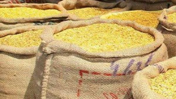 Positive News | ... अखेर शेतकऱ्यांना प्रतिक्षा होती तो निर्णय झाला, तूर उत्पादकांना मोठा दिलासा