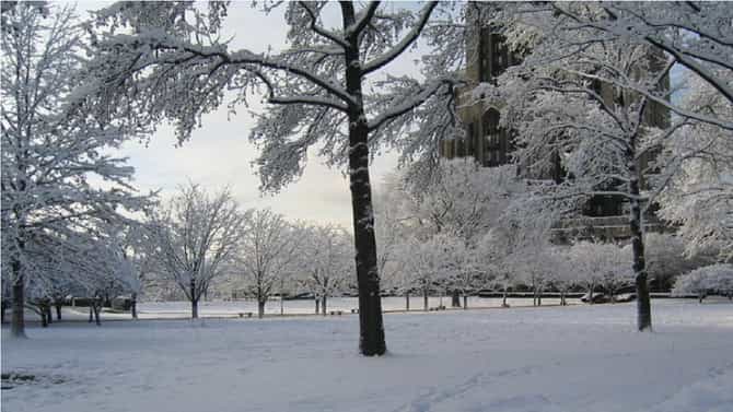 Winter Care | थंडीच्या लाटेत शरीरात उष्मा कसा टिकवायचा? कपड्यांपासून खाण्या-पिण्यापर्यंतच्या टिप्स