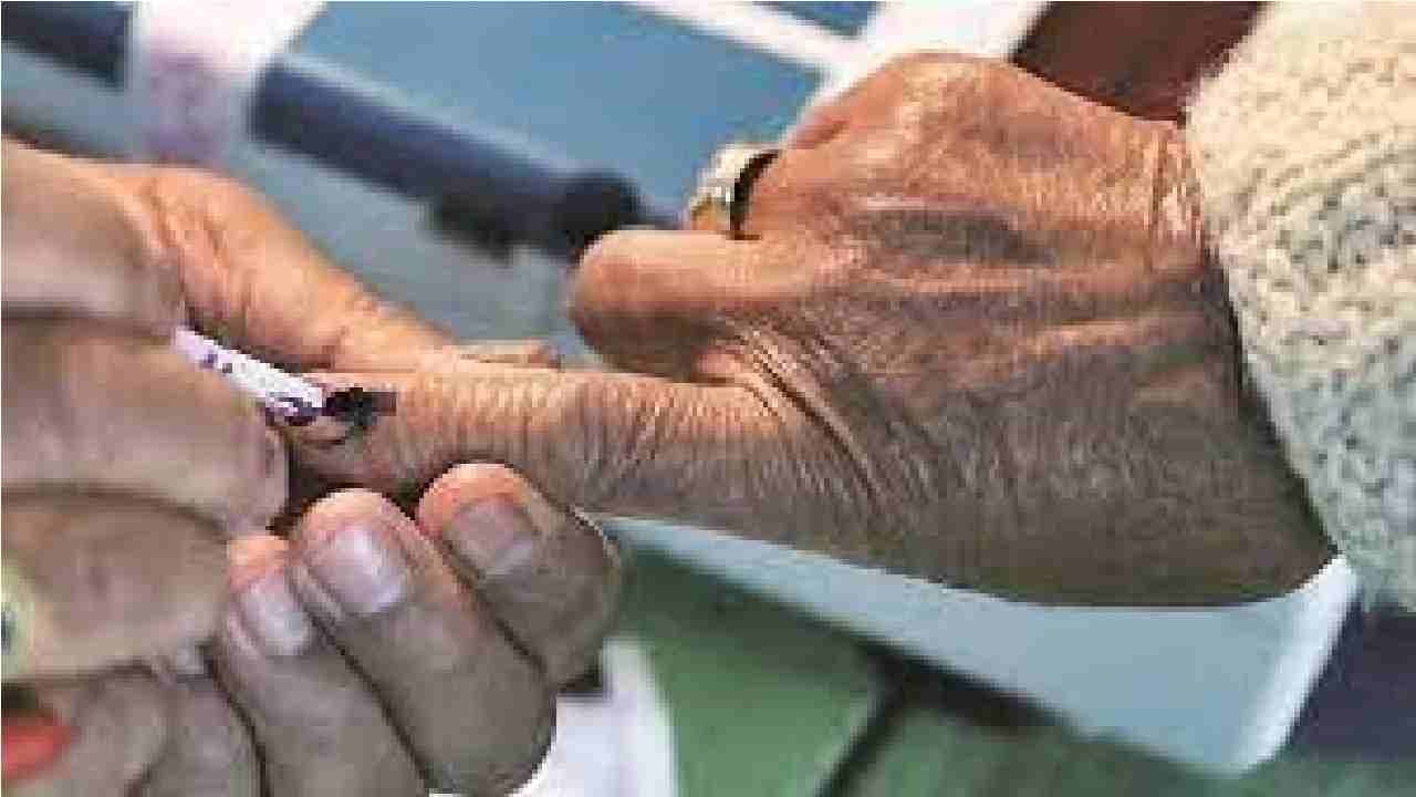 Nagar Panchayat Election : नगर पंचायत निवडणुकीत कोणत्या जिल्ह्यात किती टक्के मतदान? जाणून घ्या एका क्लिकवर