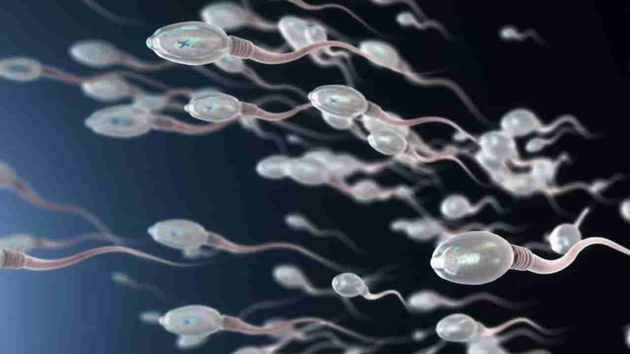 Sperm Donor | स्पर्म बँक बुडण्याची भीती? महामारीनंतर विकी डोनर्स गेले कुठे?