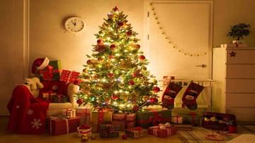 Chemistree Vastu | घरात ख्रिसमस ट्री शुभ की अशुभ ? वाचा काय सांगतंय वास्तुशास्त्र