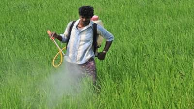 Central Government : मानवी आरोग्यावर परिणाम करणाऱ्या किटकनाशकांवर आता बंदी, नैसर्गिक शेतीसाठी पुढाकार