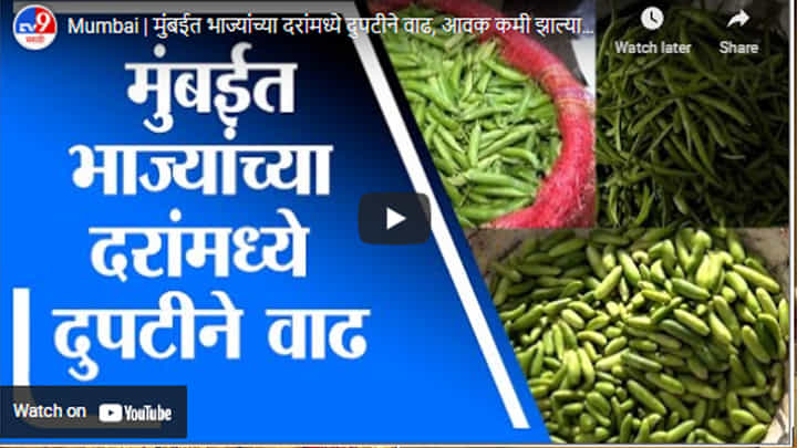 Mumbai | मुंबईत भाज्यांच्या दरांमध्ये दुपटीने वाढ, आवक कमी झाल्यामुळे भाववाढ Mumbai | मुंबईत भाज्यांच्या दरांमध्ये दुपटीने वाढ, आवक कमी झाल्यामुळे भाववाढ
