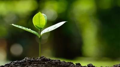 Smart Marathwada: पीक लागवड ते शेतीमालाच्या निर्यातीचा मान मराठवाड्यातील 76 शेतकरी उत्पादक कंपन्यांना, वाचा सविस्तर