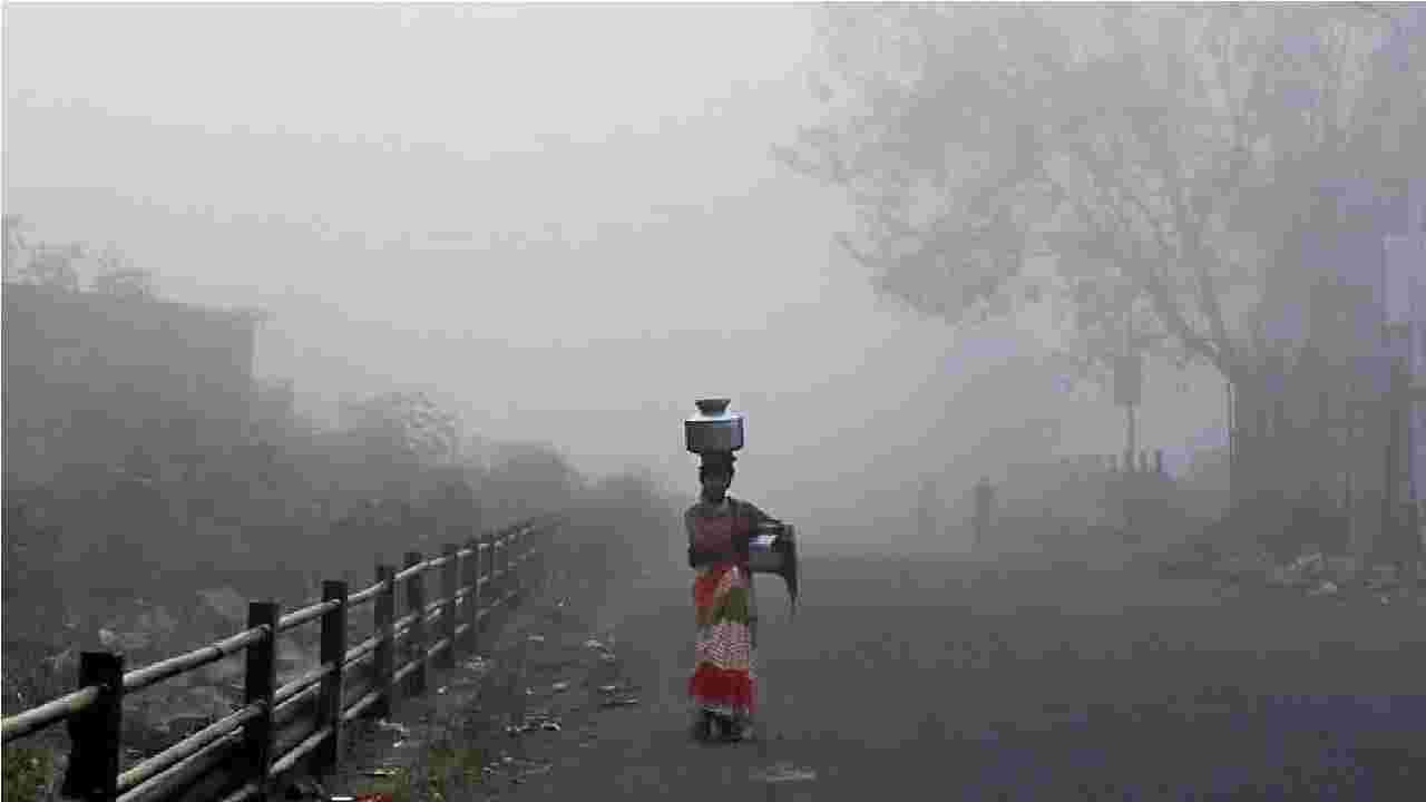 Weather मराठवाडा गारठला, परभणीत पारा 7 अंशांवर, आणखी किती दिवस राहणार