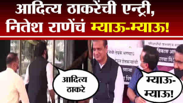VIDEO: आदित्य ठाकरे येताच नितेश राणेंकडून म्याऊ... म्याऊच्या घोषणा; नेमकं काय घडलं विधानभवनाच्या पायरीवर?