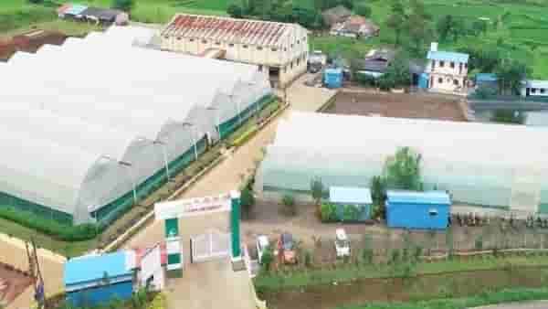 Vertical Farming | कमी जागेत फायदेशीर शेतीचा प्रकल्प; जाणून घ्या हाय-टेक व्हर्टिकल फार्मिंग?