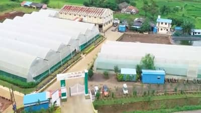 Vertical Farming | कमी जागेत फायदेशीर शेतीचा प्रकल्प; जाणून घ्या हाय-टेक व्हर्टिकल फार्मिंग?