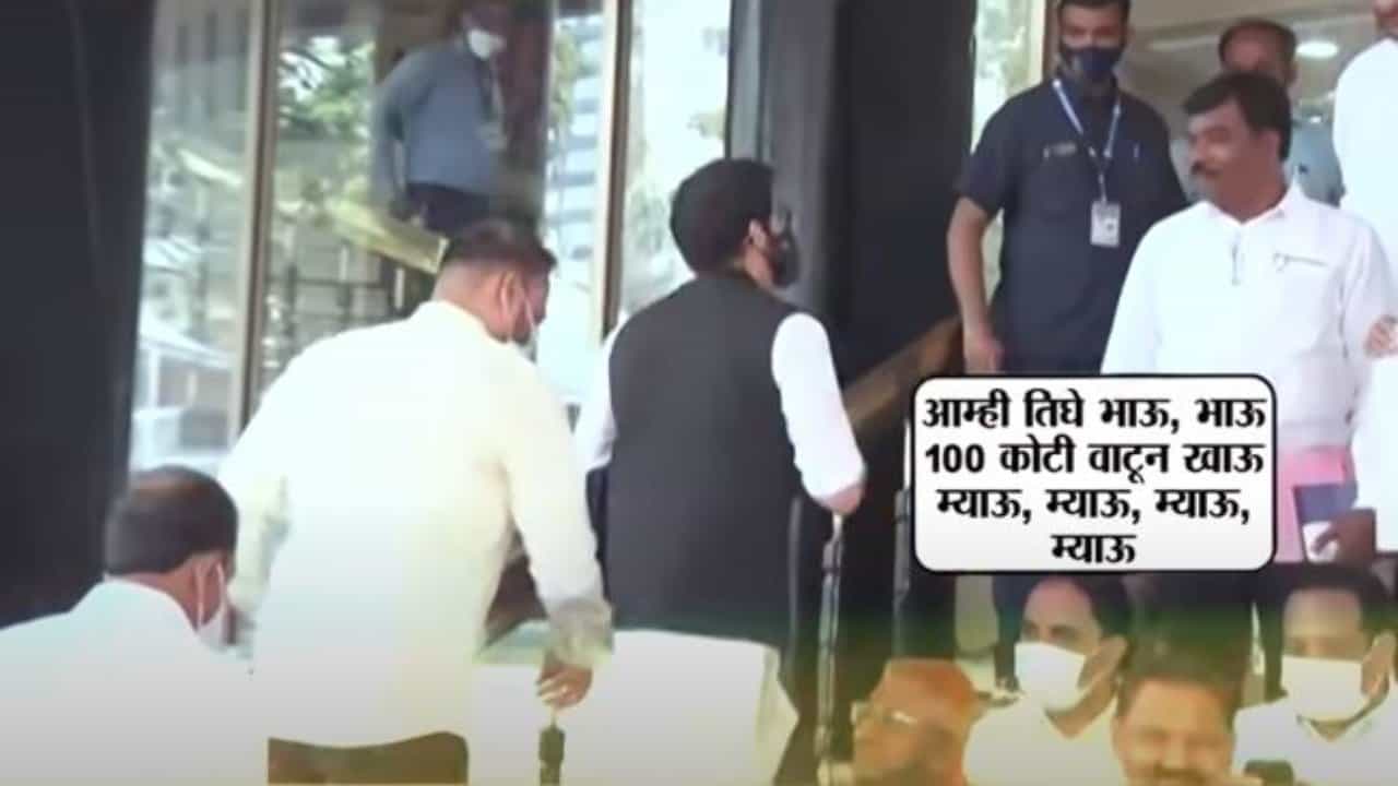 Special Report | 'म्याव म्याव'वरुन नितेश राणेंना देवेंद्र फडणवीसांचा सल्ला