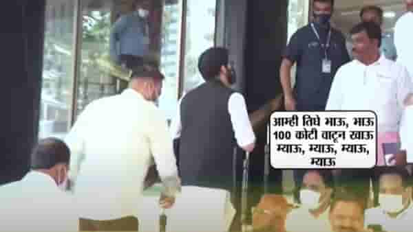 Special Report | ‘म्याव म्याव’वरुन नितेश राणेंना देवेंद्र फडणवीसांचा सल्ला