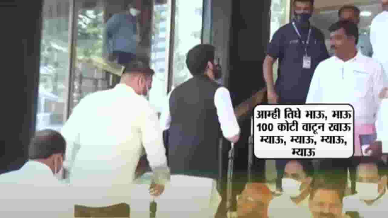 Special Report | 'म्याव म्याव'वरुन नितेश राणेंना देवेंद्र फडणवीसांचा सल्ला Special Report | 'म्याव म्याव'वरुन नितेश राणेंना देवेंद्र फडणवीसांचा सल्ला