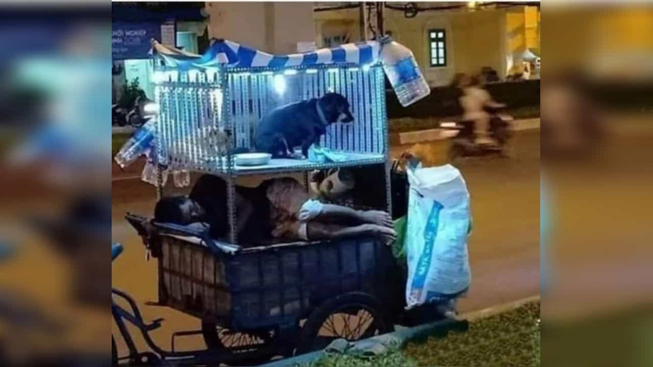 VIRAL : हातगाडीच्या वर कुत्र्यासाठी बांधलं छोटंसं घर, आयपीएस अधिकाऱ्यानं शेअर केला फोटो