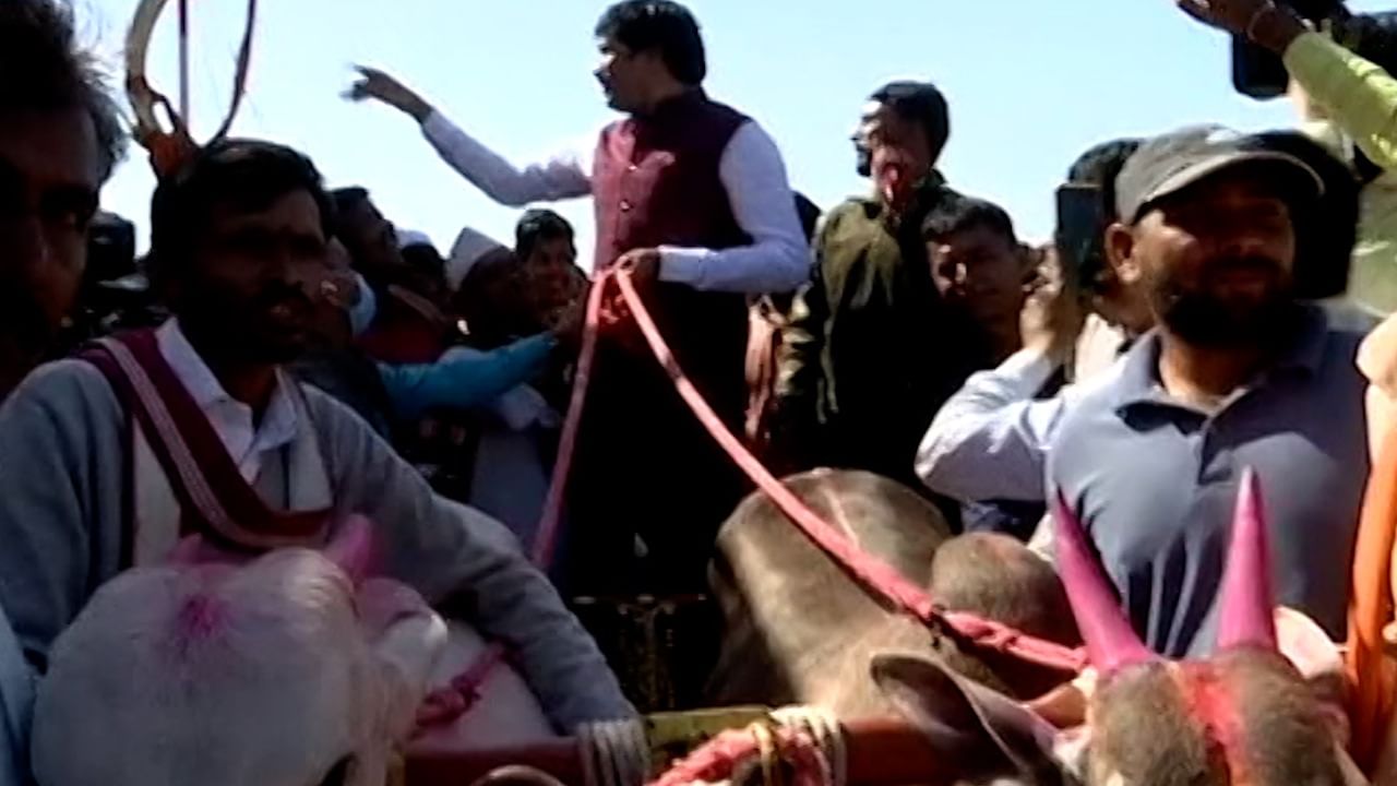 नाशिकमध्ये परवानगीविनाच भिर्रर्र...आयोजक सत्ताधारी शिवसेनेचे माजी आमदार, कोरोनाचे नियम पायदळी नाशिकमध्ये परवानगीविनाच भिर्रर्र...आयोजक सत्ताधारी शिवसेनेचे माजी आमदार, कोरोनाचे नियम पायदळी