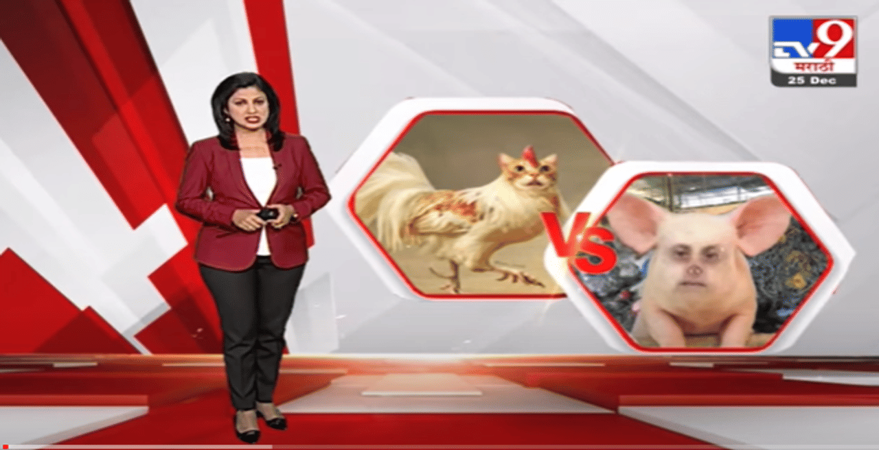 Special Report | सभागृहात सबुरीचे धडे...बाहेर फोटोंवरुन युद्ध घडे !