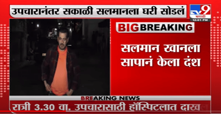 Salman Khan | सलमान खानला सापानं केला दंश, पनवेलच्या फार्महाऊसमधली घटना Salman Khan | सलमान खानला सापानं केला दंश, पनवेलच्या फार्महाऊसमधली घटना