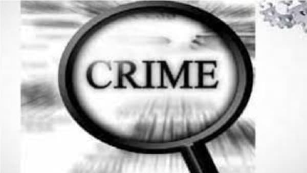 नाशिकमध्ये पुन्हा विनापरवाना बैलगाडा शर्यत; हजारोंचा जमाव जमवून कोरोना नियमांना वाटाण्याच्या अक्षता