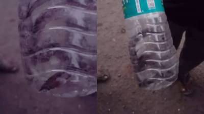 Video | Salman Khan | सलमानला चावलेला साप अखेर पकडला, साप अजूनही जिवंत, विषारी होता का?